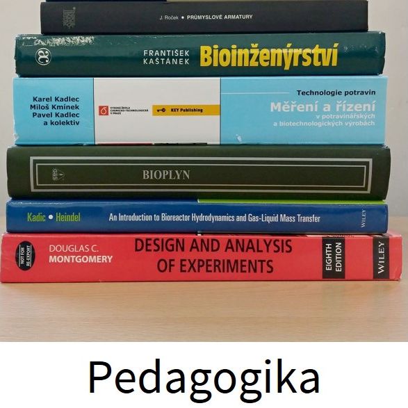 pedagogika_cz (originál)