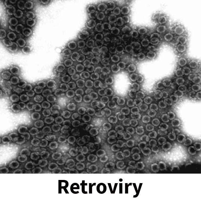 Retroviry (originál)