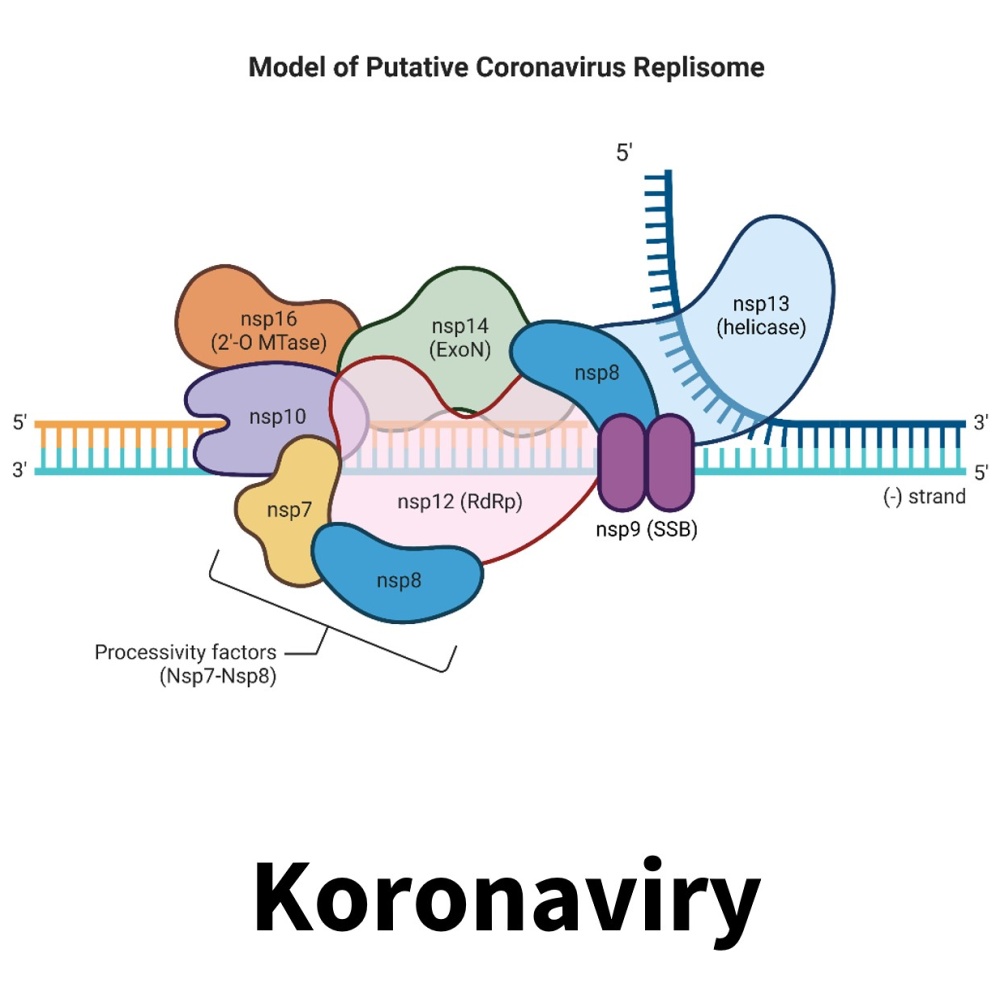  ◳ Koronaviry_box (jpg) → (originál)