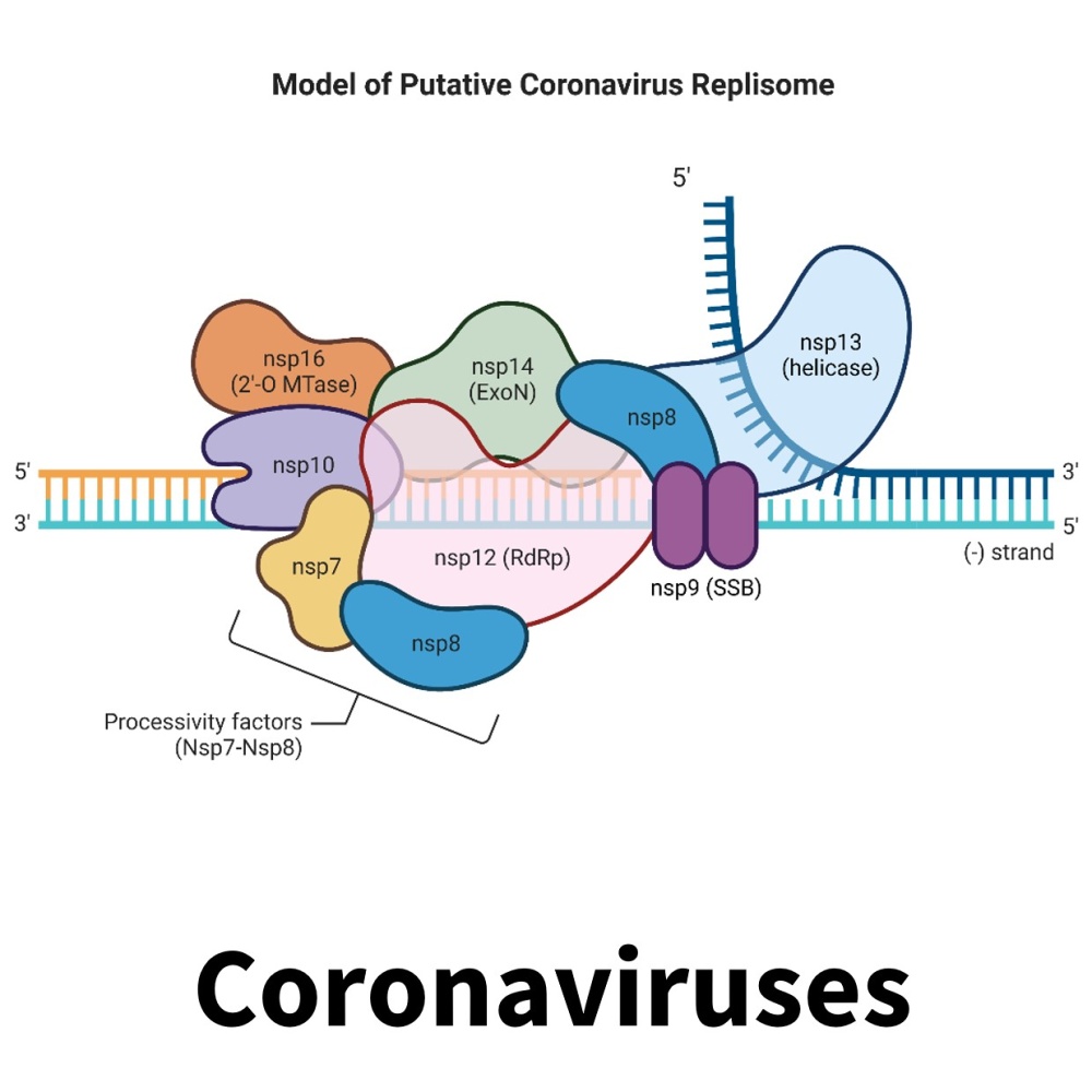  ◳ coronaviruses_box (jpg) → (originál)